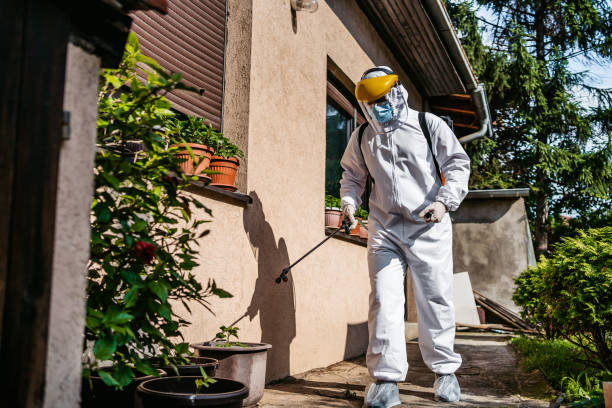 Best Pest Prevention Services  in Honeoye Falls, NY