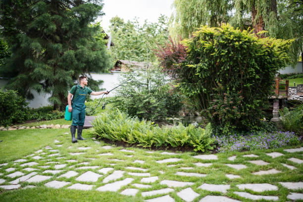 Best Pest Control Treatment  in Honeoye Falls, NY