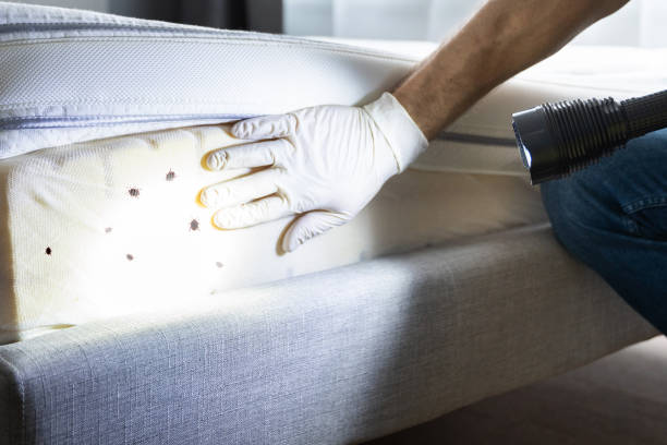 Best Best Pest Control Companies  in Honeoye Falls, NY