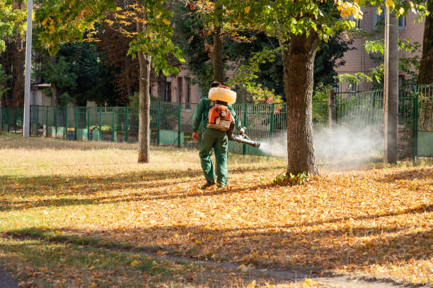 Best Rat Extermination Near Me  in Honeoye Falls, NY